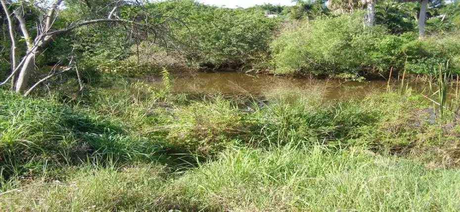 20210428174258720415000000-o