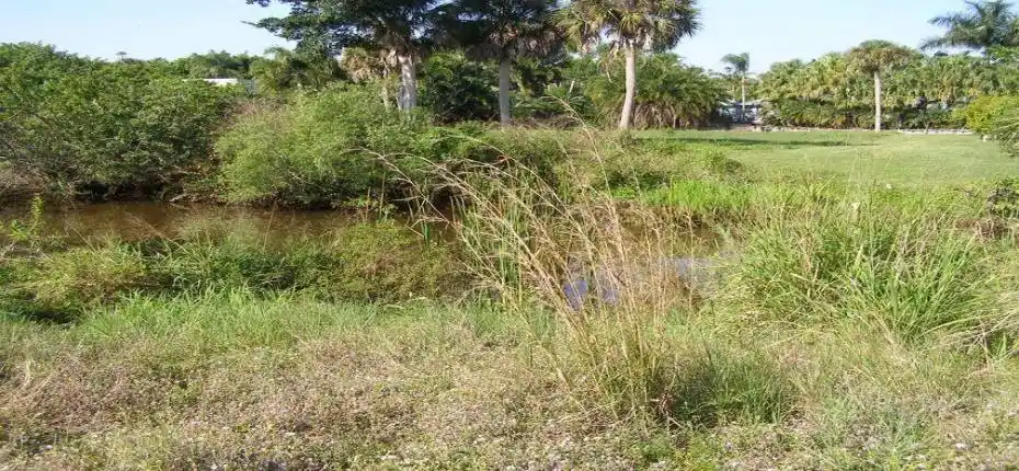 20210428174257369012000000-o