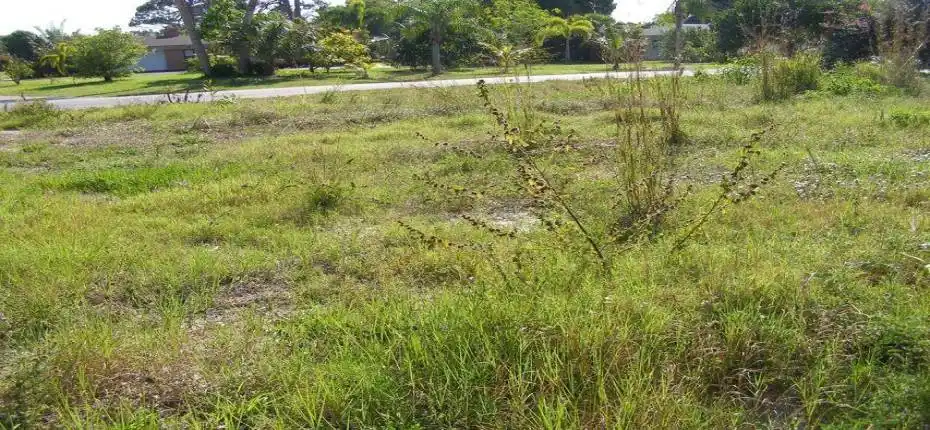 20210428174258545648000000-o