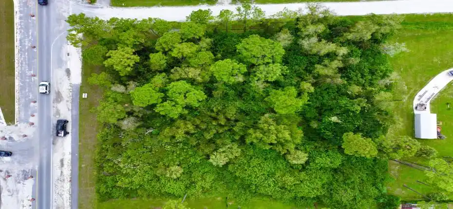 dji_fly_20250911_212202_0004_17579662550