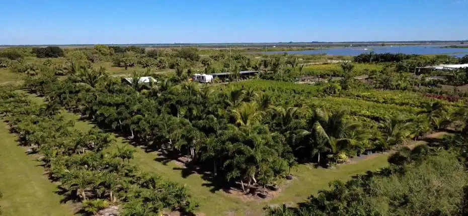 nursery lacsacocha owner_100_0023_nurser