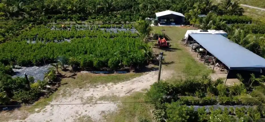 nursery lacsacocha owner_100_0034_nurser