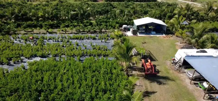 nursery lacsacocha owner_100_0033_nurser