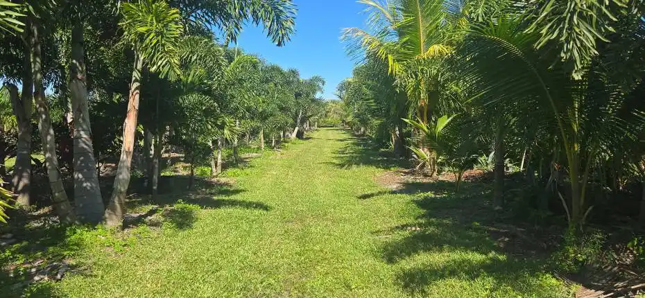 nursery lacsacocha owner_100_0002_202511