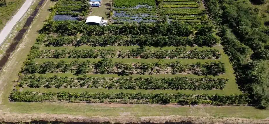 nursery lacsacocha owner_100_0029_nurser