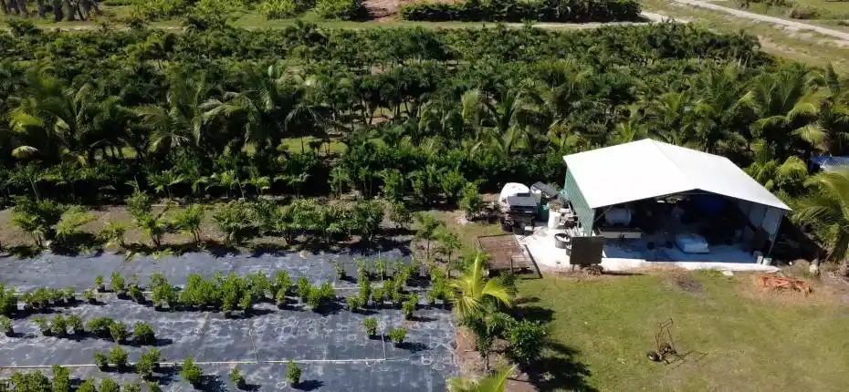 nursery lacsacocha owner_100_0032_nurser