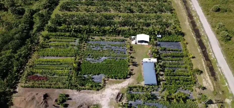 nursery lacsacocha owner_100_0025_nurser