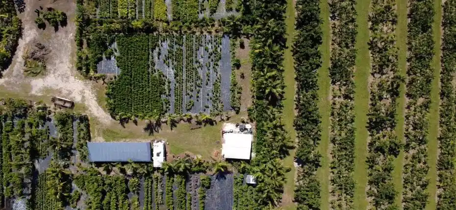 nursery lacsacocha owner_100_0014_nurser