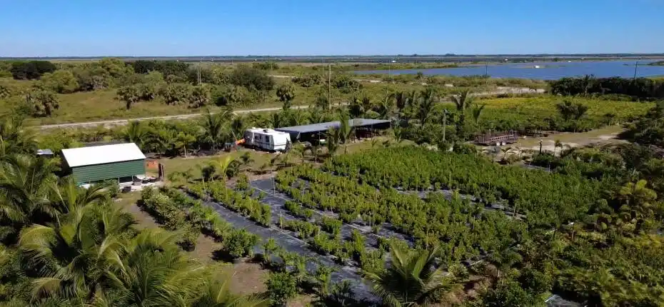 nursery lacsacocha owner_100_0022_nurser