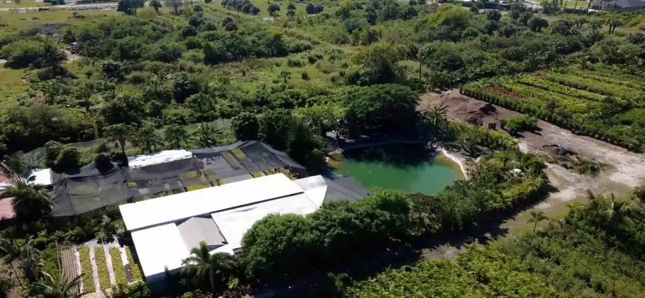 nursery lacsacocha owner_100_0000_change