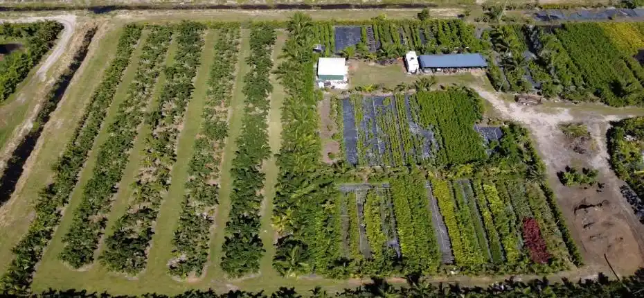 nursery lacsacocha owner_100_0028_nurser