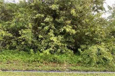 360 Undallo Road, Port Saint Lucie, Florida 34953, ,Land/docks,For Sale,Undallo,RX-11139706