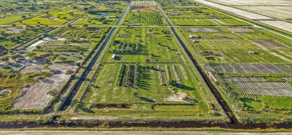 8-web-or-mls-DJI_20251111082622_0023_D