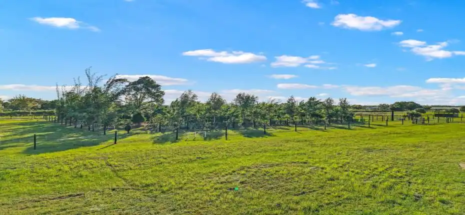 13-web-or-mls-DJI_20251111083929_0049_D