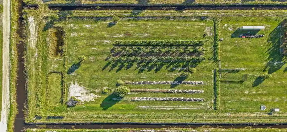 10-web-or-mls-DJI_20251111082712_0028_D