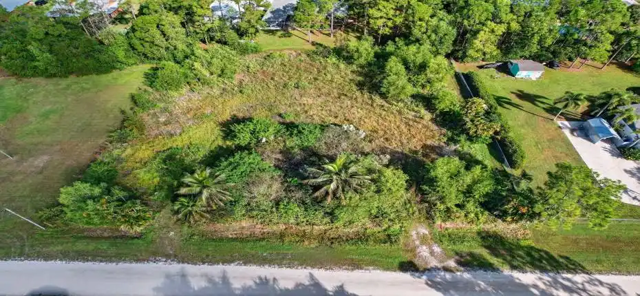 10-web-or-mls-DJI_0001