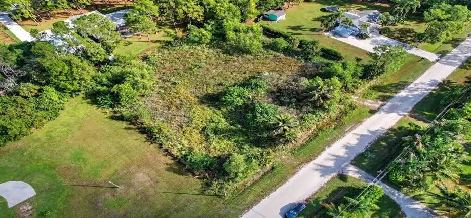 11-web-or-mls-DJI_0006