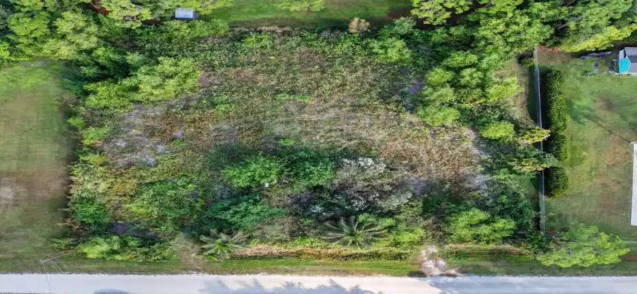 13-web-or-mls-DJI_0063