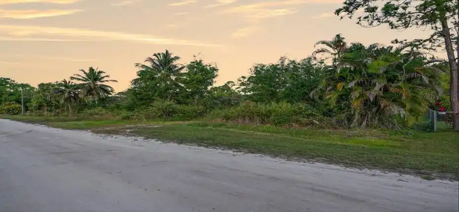 15-web-or-mls-_MLP0024 (1)