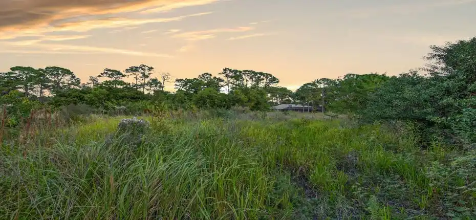 19-web-or-mls-_MLP0015