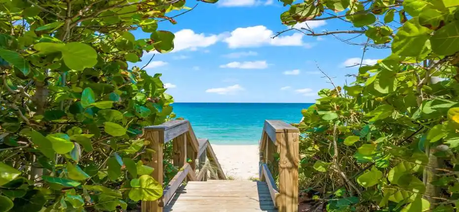 Beach Access Boardwalk