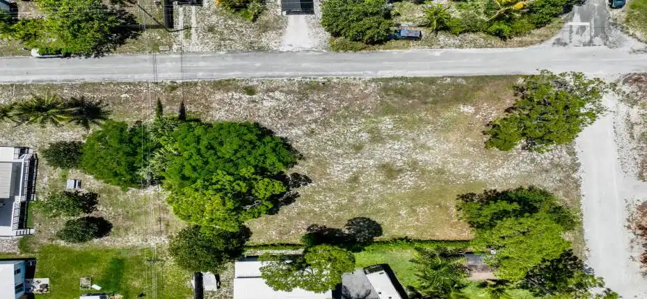 Blue Heron Aerial 10