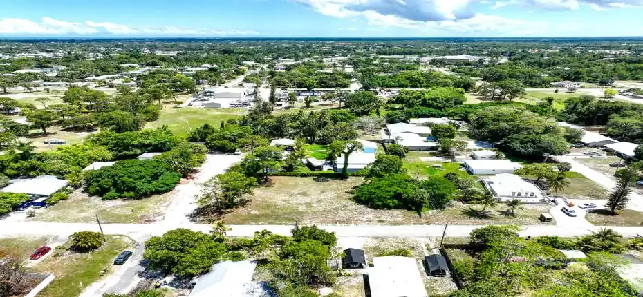 Blue Heron Aerial 14a