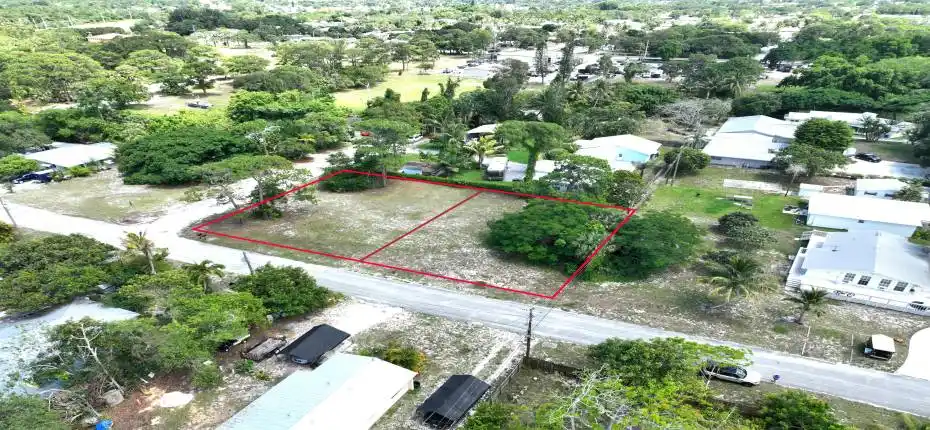 Blue Heron Aerial 5b