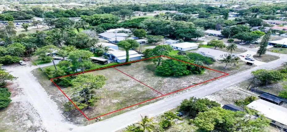 Blue Heron Aerial 7b