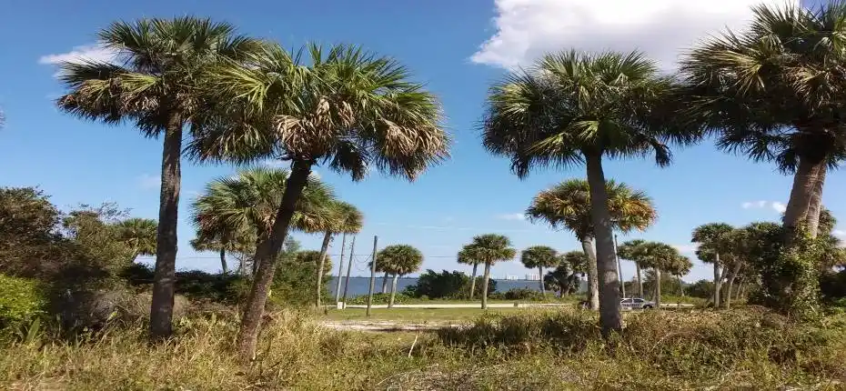 Back of prop looking East