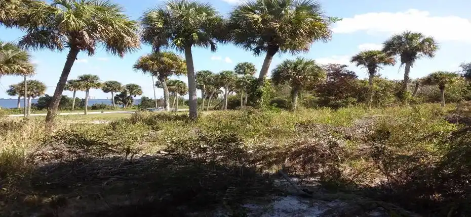 NW corner looking to SE corner