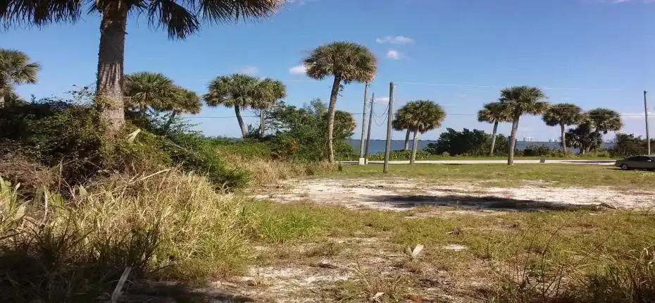 N property line looking East