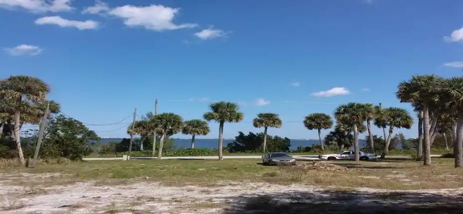 Middle of lot looking East