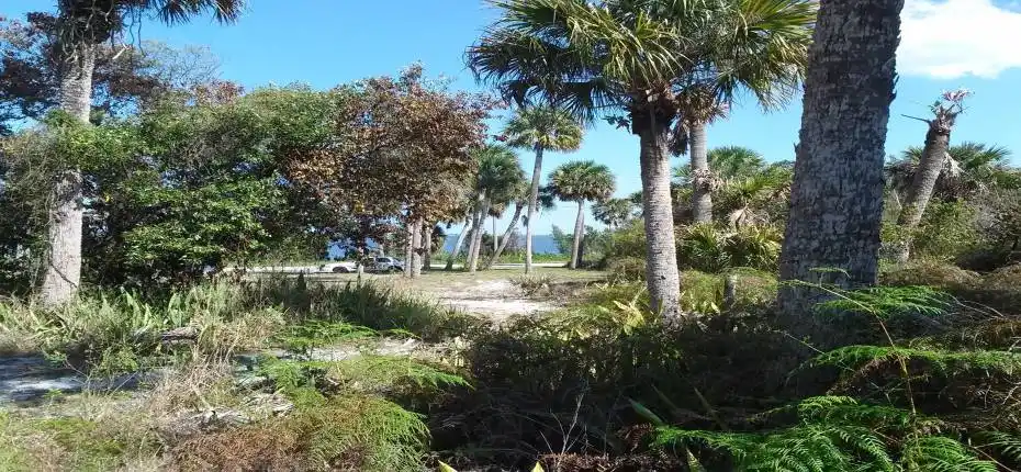 SW corner looking East