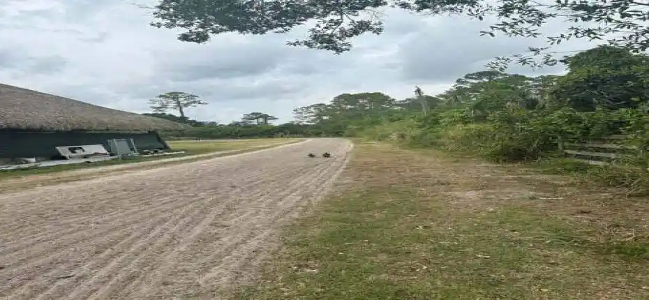 20250320215831145066000000-o