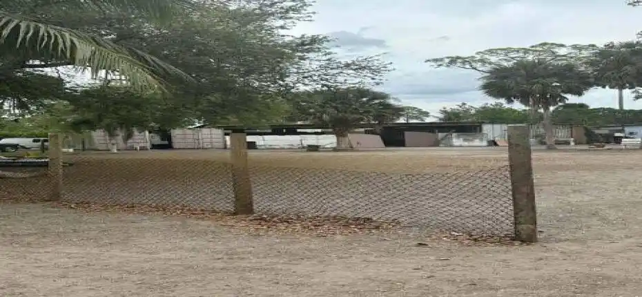 20250320215825466987000000-o