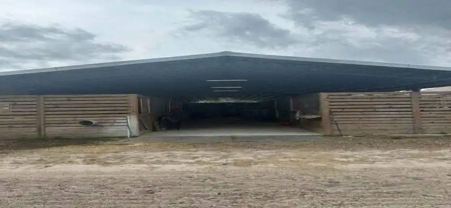 20250320215829231439000000-o