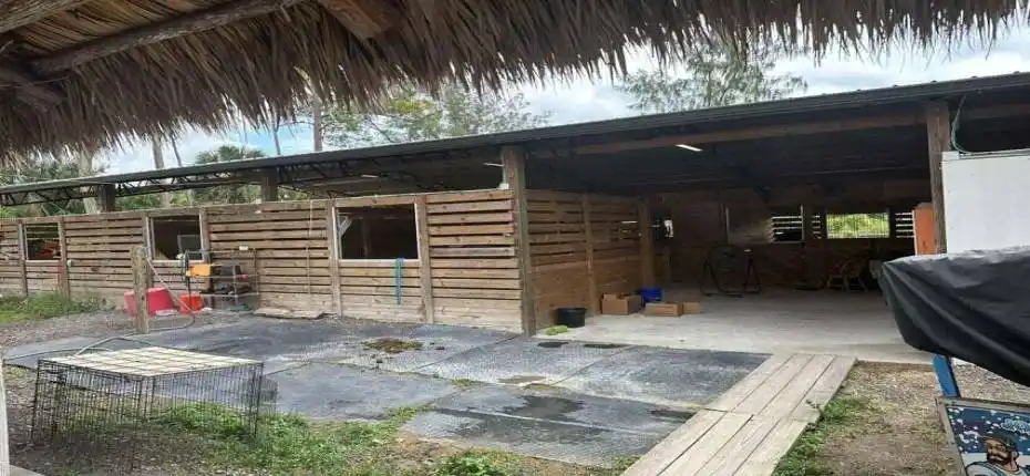 20250320215836958931000000-o