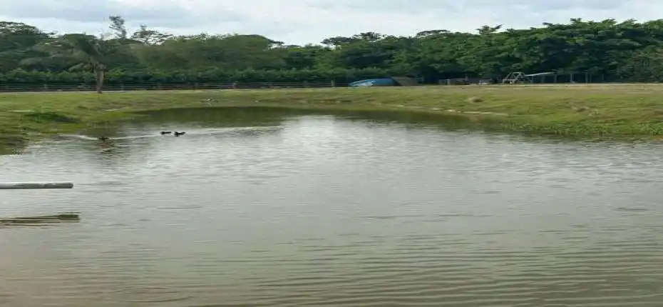 20250320215838298020000000-o