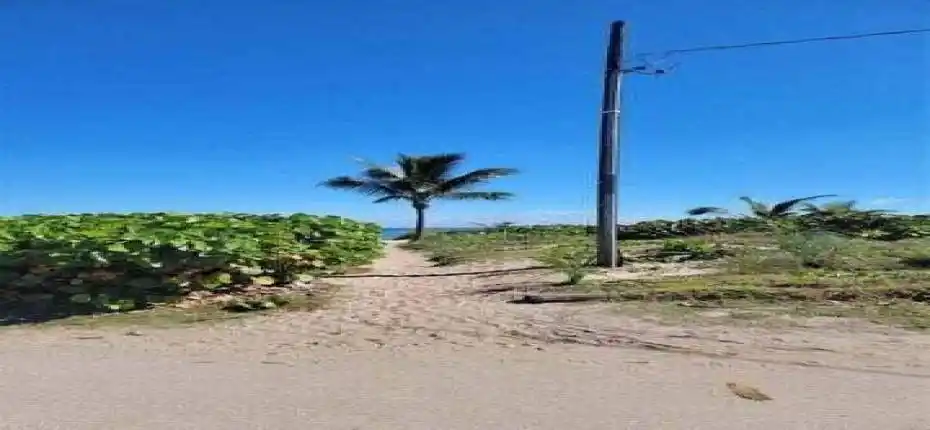 20251121165615287272000000-o