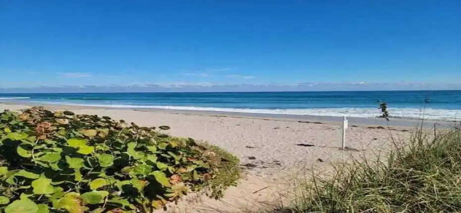 20251121165615769008000000-o