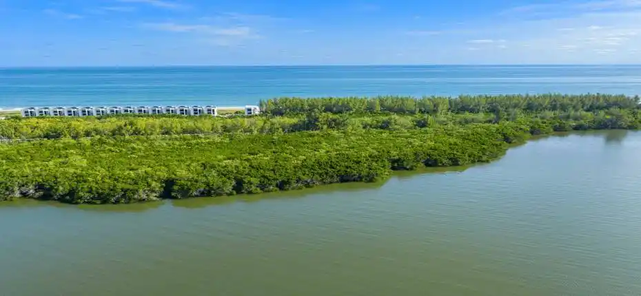 DJI_20251204104752_0513_D