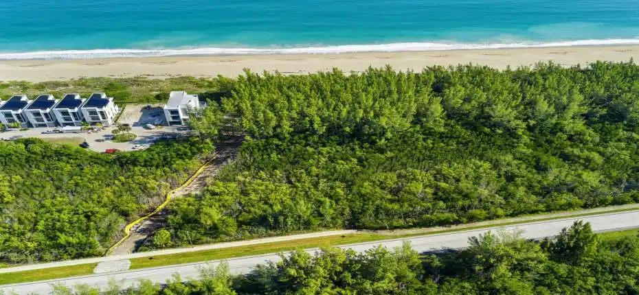 DJI_20251204111203_0596_D