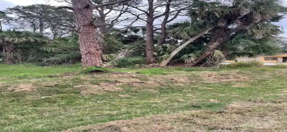 Nelson 45 st picIMG_2528