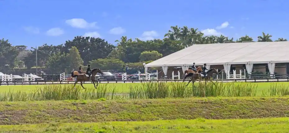 Wellington Equestrian WEF e AAP 2023