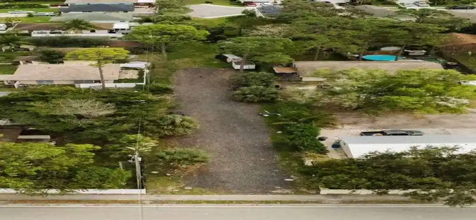 WhatsApp Image 2026-01-19 at 10.00.16 AM