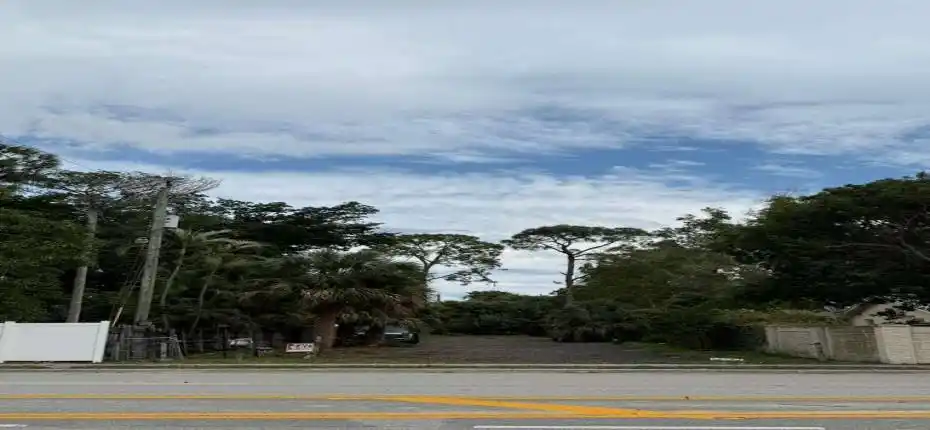 WhatsApp Image 2026-01-19 at 10.00.17 AM