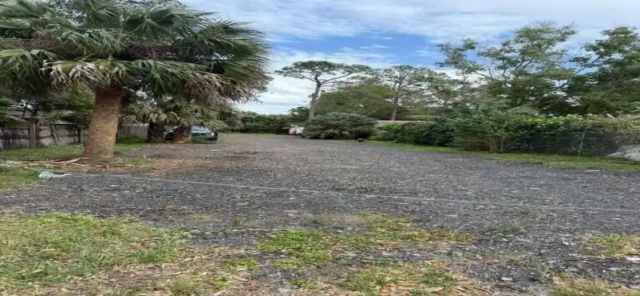 WhatsApp Image 2026-01-19 at 10.00.18 AM