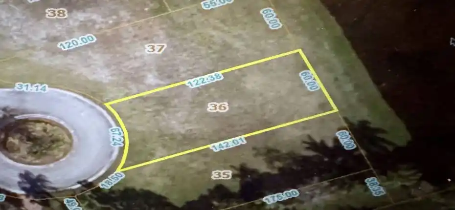 20250227225058768458000000-o