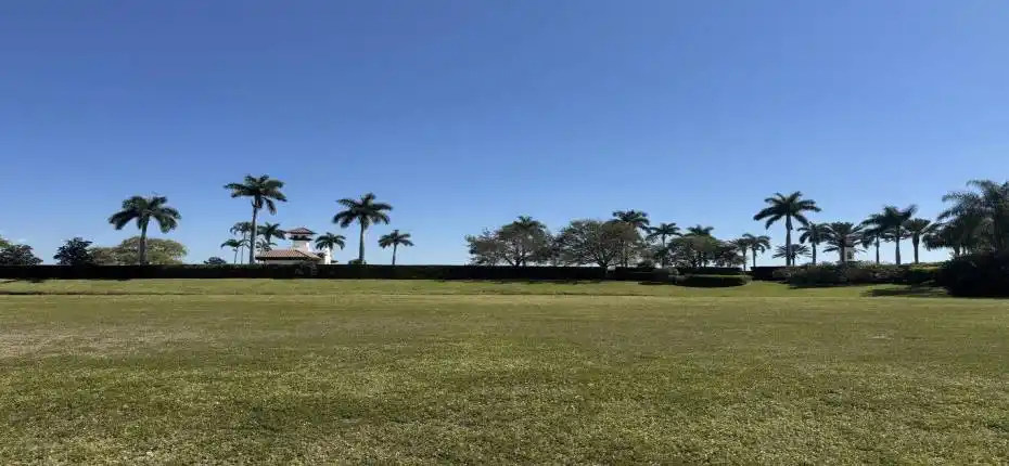 20250301174445096186000000-o